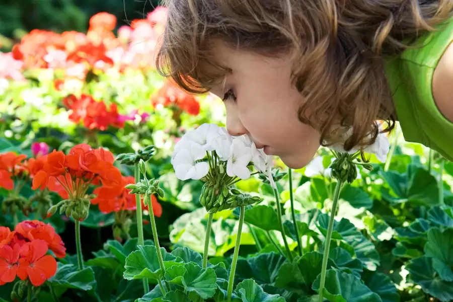 alergia ocular na primavera
